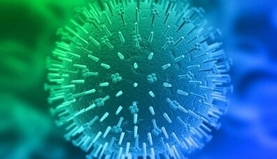 routes of human papillomavirus infection