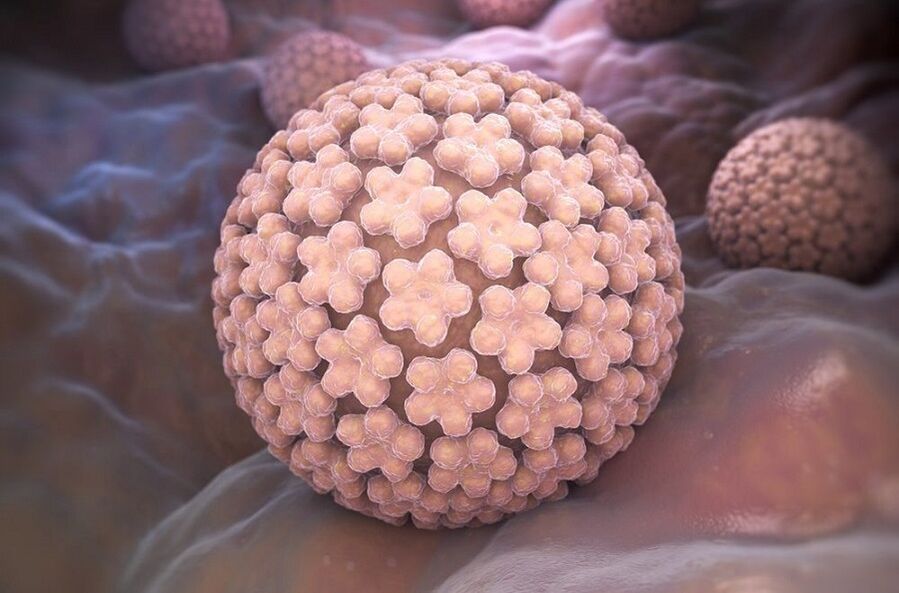 human papilloma virus that causes warts